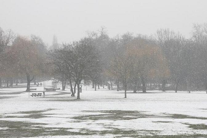 Winter erneut zu mild und zu trocken