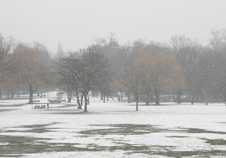 Winter erneut zu mild und zu trocken