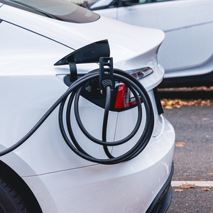 EV Genius  - Kabelhalterung für das E-Auto 