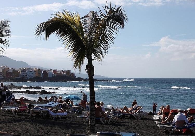 Sarah Connor verlangt Ende von Orca-Shows auf Teneriffa