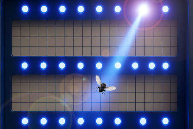 LED-Technologie revolutioniert UV-Insektenfallen