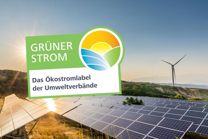 Etwas bewegen durch den Stromwechsel? Das geht jetzt mit über 200 geprüften Ökostromtarifen