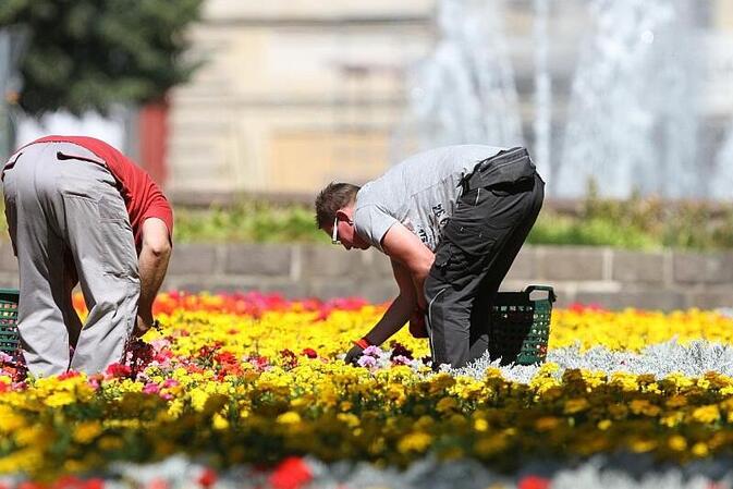 Linke fordert Hitzefrei für Arbeitnehmer