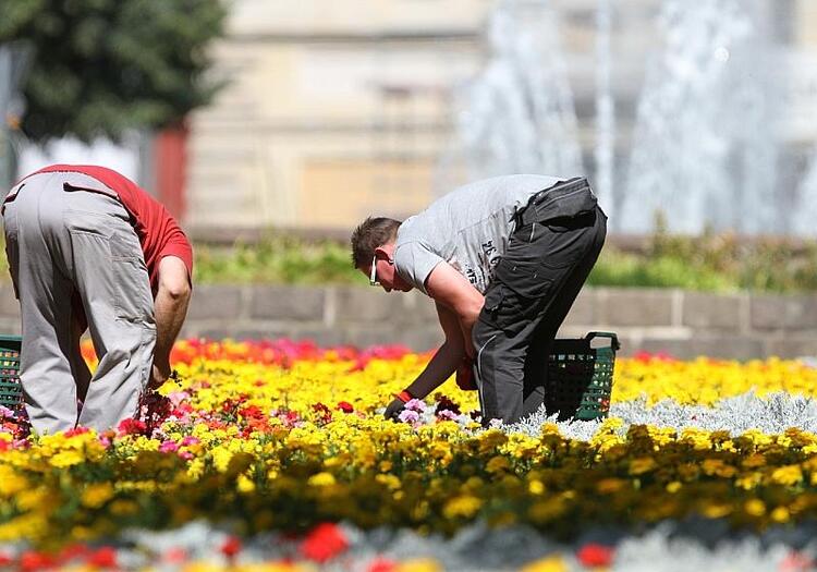 Linke fordert Hitzefrei für Arbeitnehmer