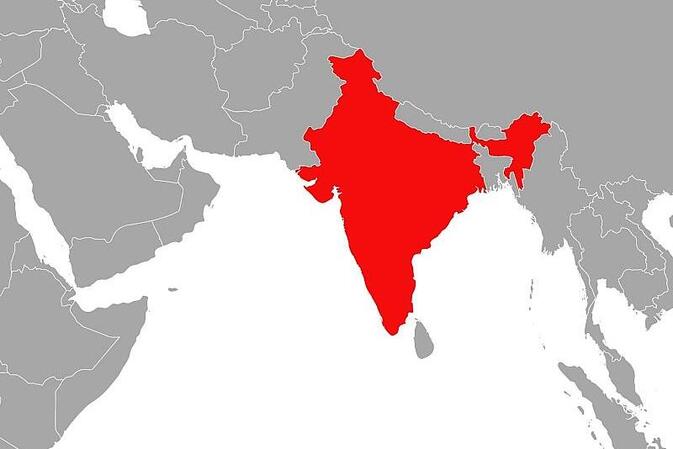 Berichte: Brite überlebt Flugzeugabsturz in Indien