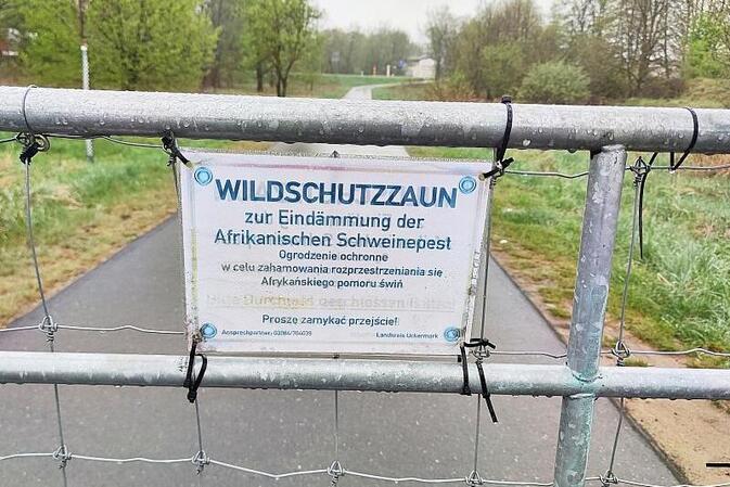 Afrikanische Schweinepest erreicht erstmals Nordrhein-Westfalen