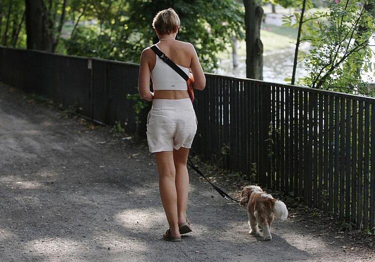 Hitzeschutz: Städtetag fordert mehr finanzielle Unterstützung