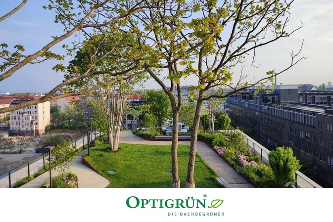 Städte unter Hitzestress: Welt der Wunder zeigt Optigrün als Lösungsanbieter der Schwammstadt von mo