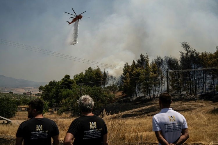 Feuerwehr kämpft in Türkei und Bulgarien gegen zahlreiche Waldbrände