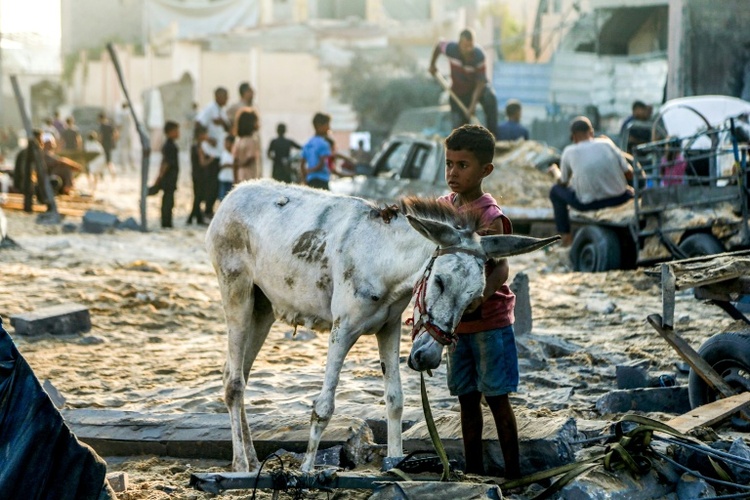 Deutsche Transportflugzeuge auf Weg nach Jordanien für Hilfsabwürfe über Gazastreifen