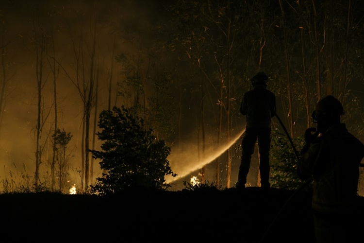 Feuerwehr in Portugal bringt einen Teil der Waldbrände unter Kontrolle