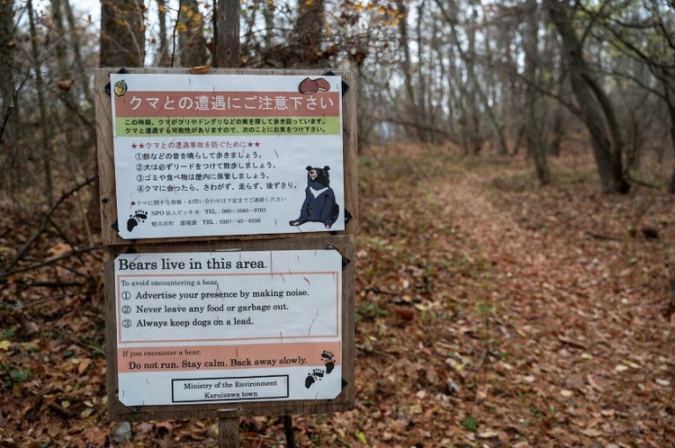 Bär greift Frau vor Pflegeheim in Japan an