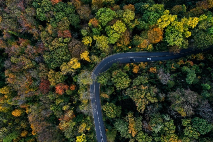 Baden-Württemberg: Vermisste nach einer Woche tot in Auto neben Landstraße gefunden