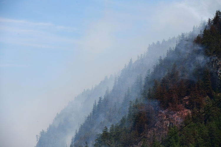 Kanada setzt Soldaten und Küstenwache zur Bekämpfung von Waldbränden ein