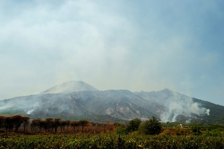 Waldbrand am Vesuv in Italien: Wanderwege vorerst für Touristen gesperrt