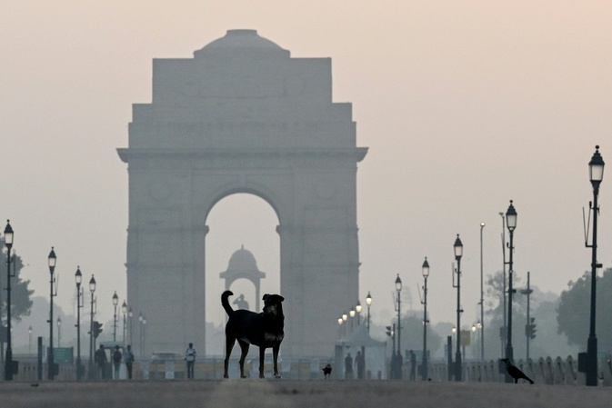 Oberstes Gericht ordnet Einfangen von zehntausenden Straßenhunden in Neu Delhi an