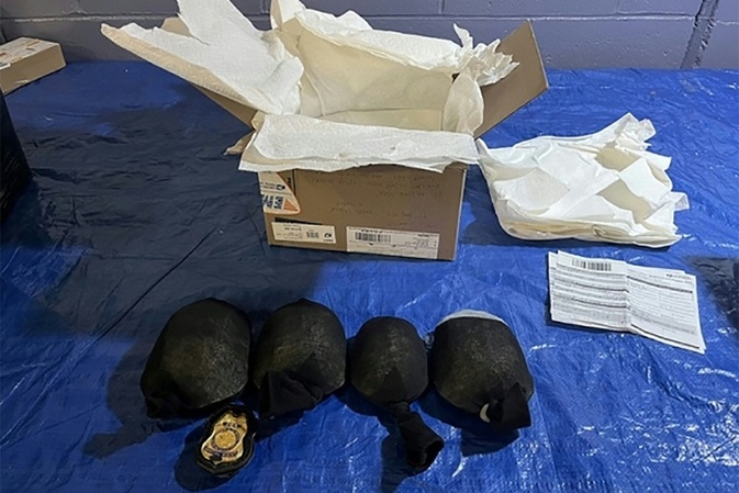 Mann droht wegen Schmuggels hunderter Schildkröten lange Haftstrafe in USA