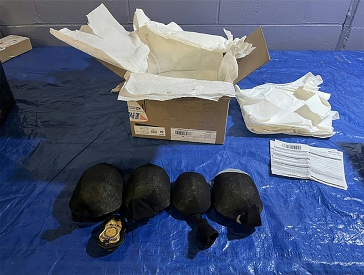 Mann droht wegen Schmuggels hunderter Schildkröten lange Haftstrafe in USA