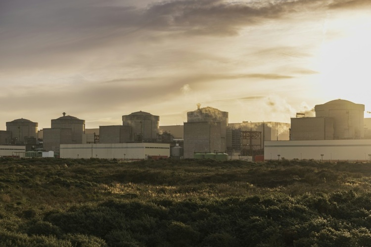 Nach Abschaltung wegen Quallen: Atomkraftwerk in Frankreich fährt wieder hoch