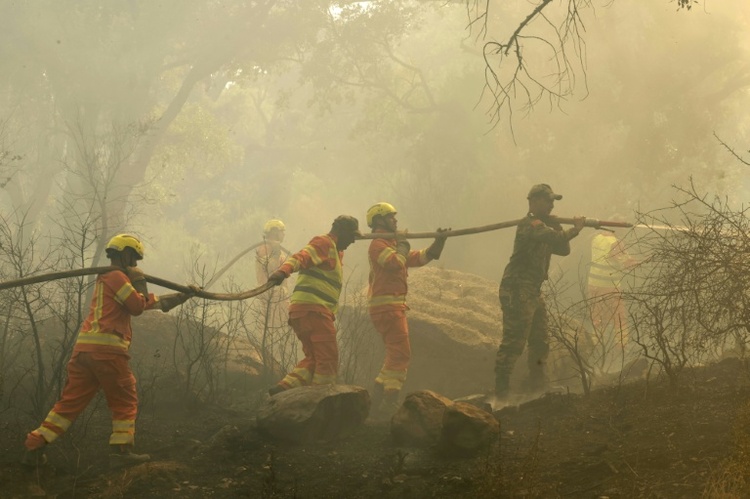 Marokkos Feuerwehr bringt Waldbrand nahe der 