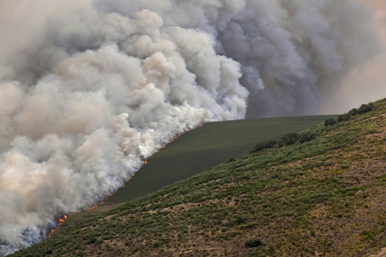 Rekord-Fläche an Land durch Brände in Spanien zerstört - Große Feuer auch in Portugal