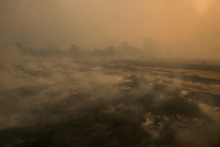 Wind erschwert Kampf gegen Rekord-Waldbrände in Spanien - Mann stirbt in Portugal