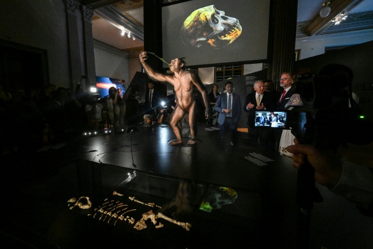 Premiere in Europa: 3,2 Millionen Jahre altes Fossil Lucy wird in Prag ausgestellt
