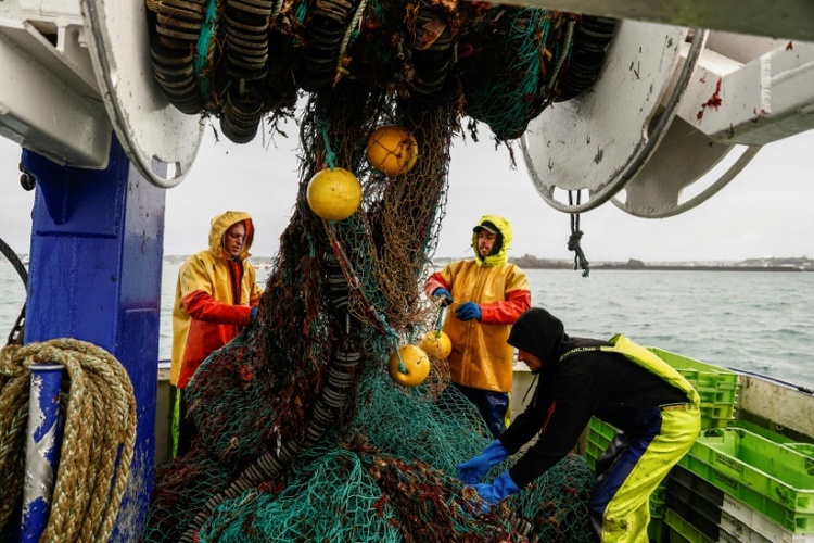 EU-Kommission schlägt zum Teil deutlich geringere Fischfangquoten für die Ostsee vor