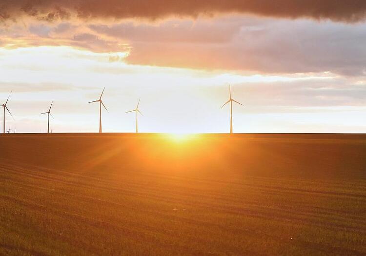Experten warnen vor Drosselung von Wind- und Solar-Ausbau