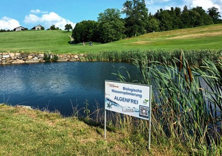 Golfclub Patting - Biologisch algenfreie, klare Teiche