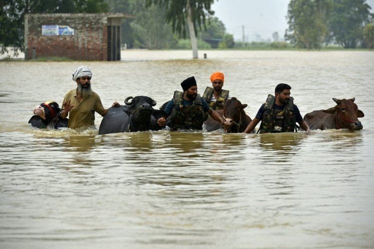 Mindestens 29 Tote durch starke Monsun-Regenfälle im indischen Bundesstaat Punjab