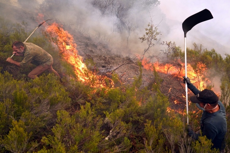 Studie: Risiko von Hitzewellen wie zuletzt in Spanien durch Klimawandel vervierzigfacht
