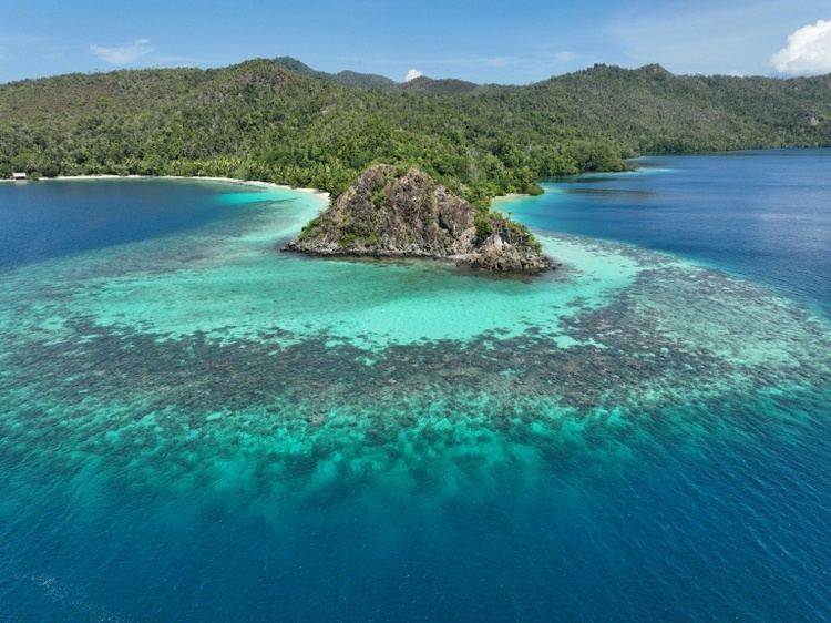 Umweltschützer: Nickel-Abbau bedroht einzigartige Korallenriffe in Indonesien