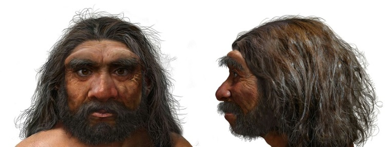 Eine Million Jahre alter Schädel könnte Zeitachse der menschlichen Evolution verschieben