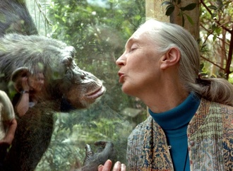 Primatenforscherin Jane Goodall im Alter von 91 Jahren gestorben