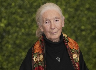 Zoologenverband trauert um Primatenforscherin Jane Goodall