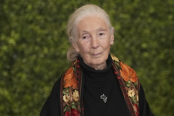 Zoologenverband trauert um Primatenforscherin Jane Goodall