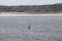 Schwere Sturmflut an der Nordsee erwartet
