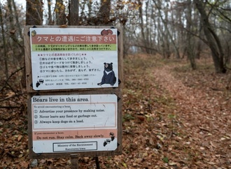 Zwei Tote mutmaßlich durch Bärenangriffe in Japan