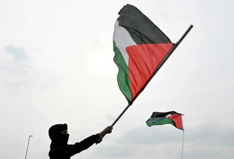 Aktivisten der Gaza-Flotte aus Israel abgeschoben - Proteste in europäischen Städten
