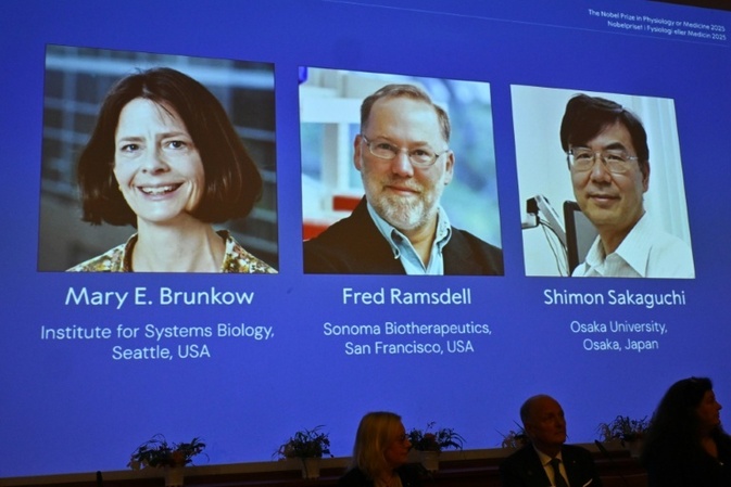 Medizin-Nobelpreis für Entdeckung von ''Wächtern'' des Immunsystems