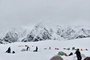 Rettungsaktion am Mount Everest: Alle eingeschneiten Wanderer gerettet