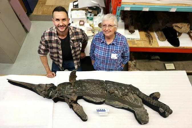 Neue Meeressaurier-Art in Großbritannien identifiziert