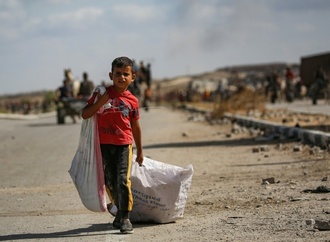 Gaza-Waffenruhe: Welternährungsprogramm fordert schnelle Hilfslieferungen