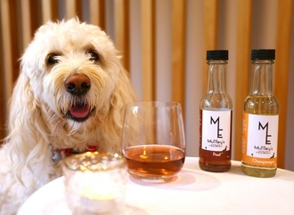 Alkoholfreier Wein für Hund und Katz