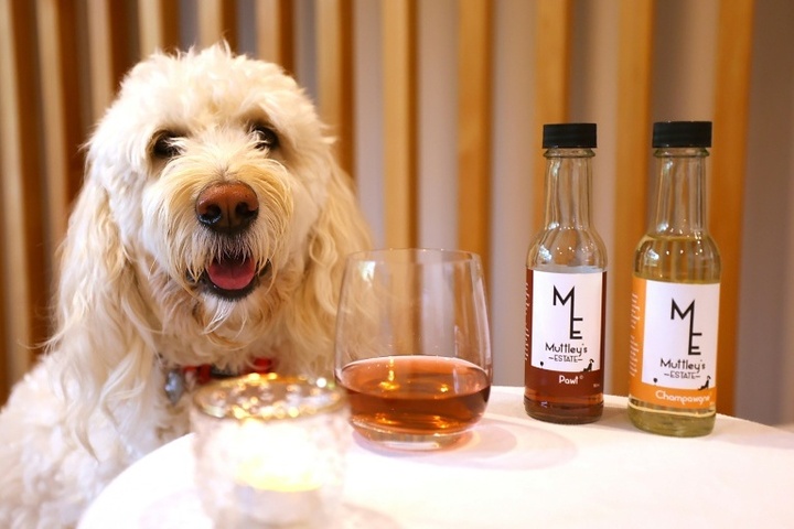 Alkoholfreier Wein für Hund und Katz