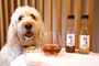 Alkoholfreier Wein für Hund und Katz