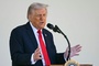 Trump: ''Ich will kein vergebliches Treffen'' mit Putin