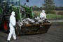 Vogelgrippe: Chefin von Bundesinstitut beunruhigt ''ungewöhnliche'' Dynamik