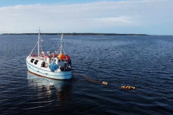 EU-Fischereiverbote: Rainer setzt sich für Ausnahme für Ostsee-Fischer ein